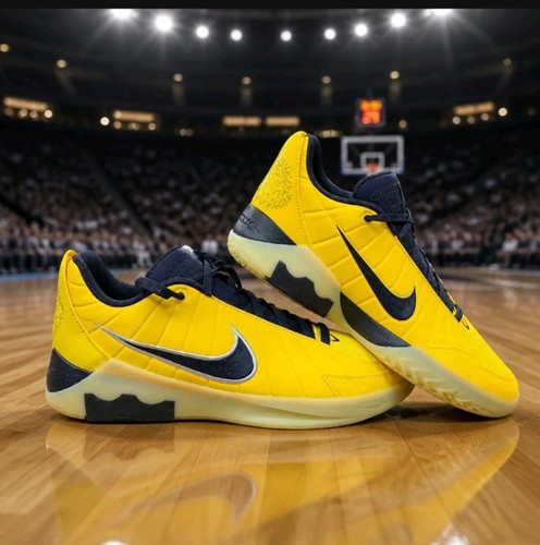 Nike lebron witness - lebron,