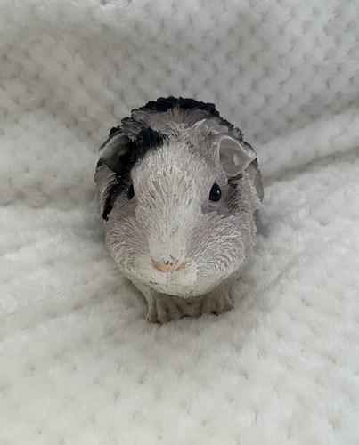 Animal art garden guinea pig - garden, ,guinea