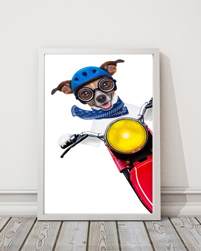 Terrier pet dog - terrier,