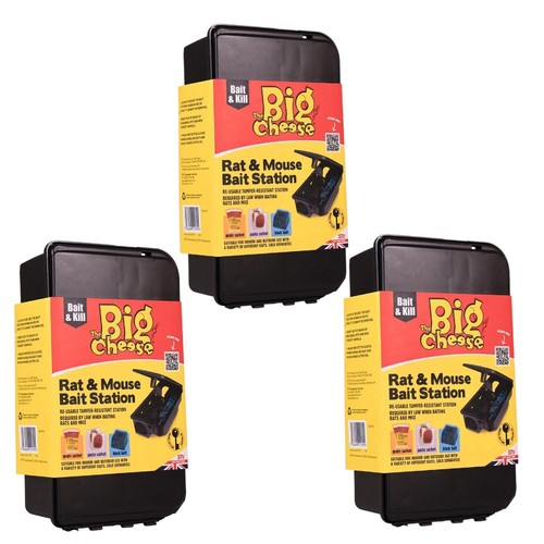 The big cheese - the,
