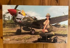 Eduard 1/32 Scale - P-40N