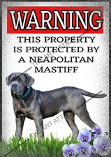 Warning Neapolitan Mastiff metal wall sign