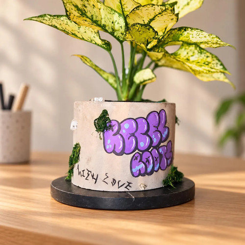 Personalised graffiti planter - graffiti,