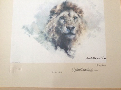 David shepherd signed limited - david,