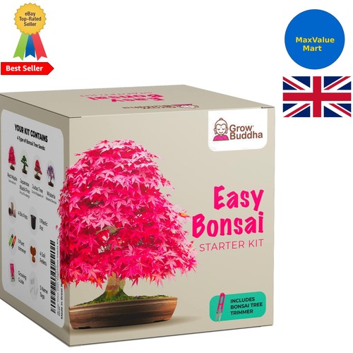 Grow your own bonsai kit - your,