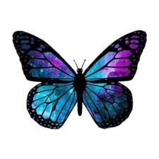 Butterfly Galaxy Purple Blue