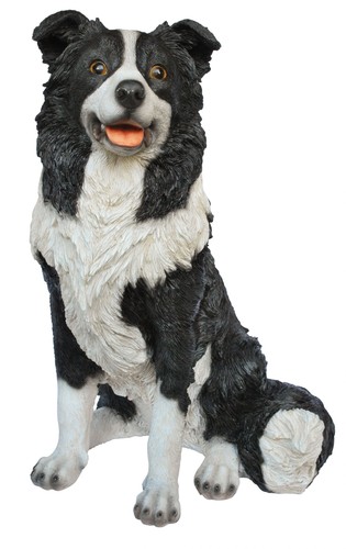 Sheepdog collie dog large - sheepdog, 50cm