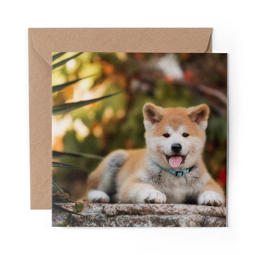 Blank greeting card - 1,