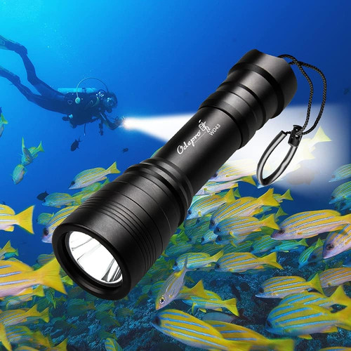 492ft underwater diving - [492ft, diving]