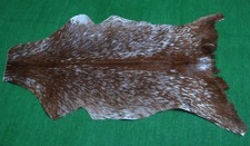 Luxury Goat hide Rug Hair on Area Rug Size 36"x22" Animal Leather Goat Skin G161