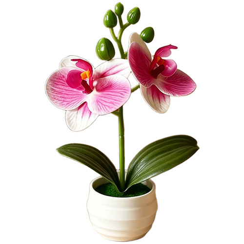 Artificial orchid with - orchid,