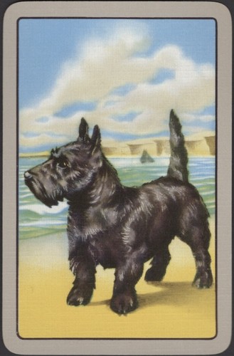 Playing cards single card old - single,