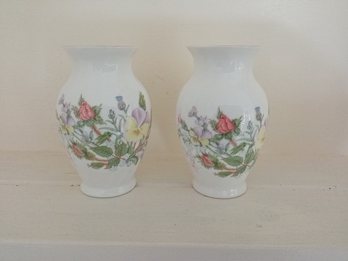 Miniature anysley wild tudor - miniature,