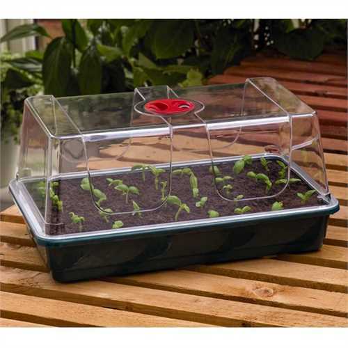 Root riot clonex - root, propagation