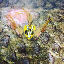 3 V Fly Size 6 Ultimate