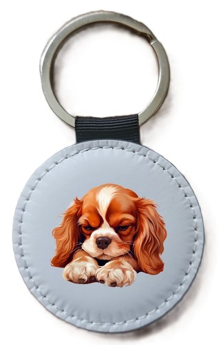 Cavalier king charles spaniel - cavalier,