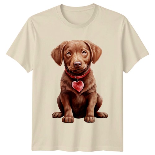 Chocolate labrador puppy - chocolate,
