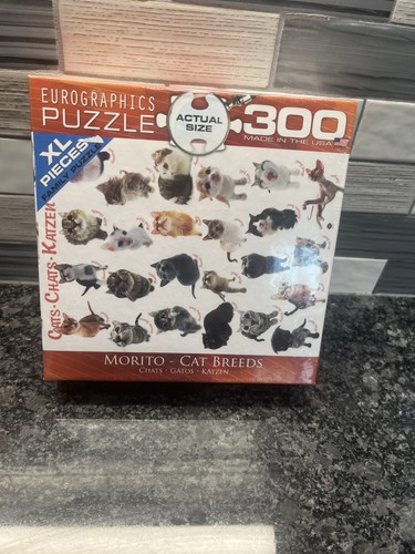 Eurographics morito cat breeds - morito,