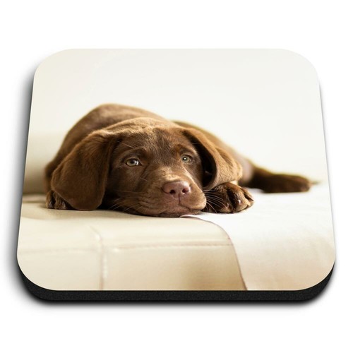 Square mdf magnets - mdf,