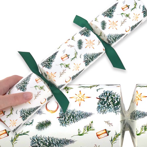 Reusable keepsake christmas - reusable,