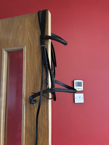 Black cob size bridle - cob,