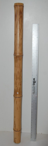 Bamboo poles reptiles - bamboo, reptiles,