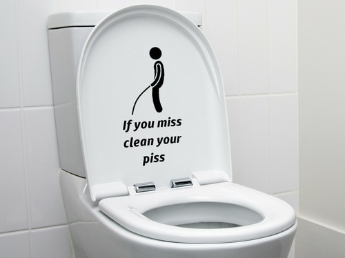 You miss funny toilet - miss,