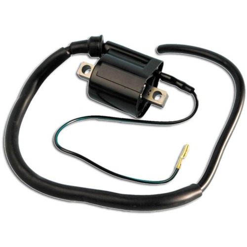 Adaptable coil scooter - adaptable,