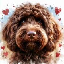Single Luxury Chocolate  Cockapoo Birthday Card Dog Gift/Present WCH