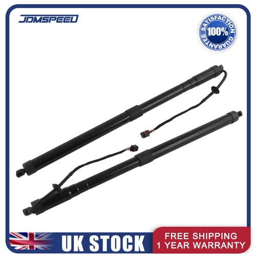 Set tailgate gas strut - gas,