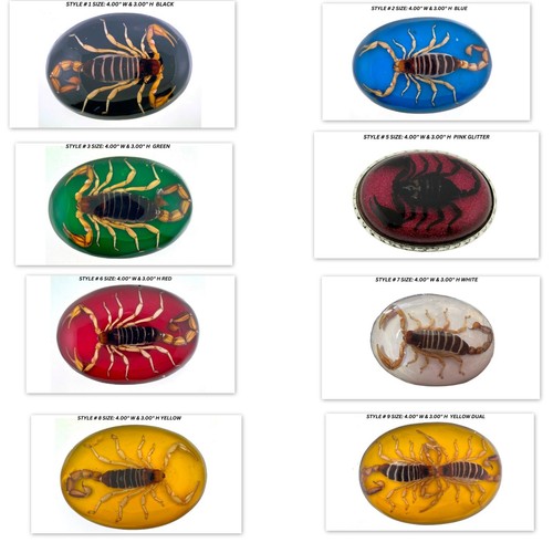 Real scorpion belt buckle - real,