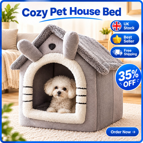 Pet cat kitten dog - cat, igloo