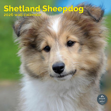 Shetland Sheepdog Calendar