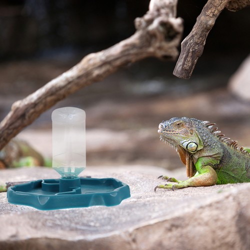Lizard tank accessories - lizard,