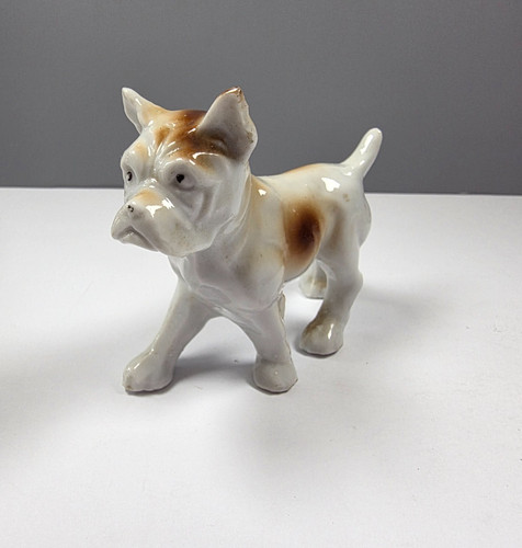 Bulldog boxer bone china - bone,