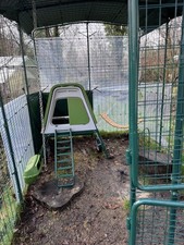 OMLET EGLU GO UP CHICKEN COOP