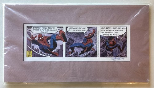 Stan lee spider man - lee, hand