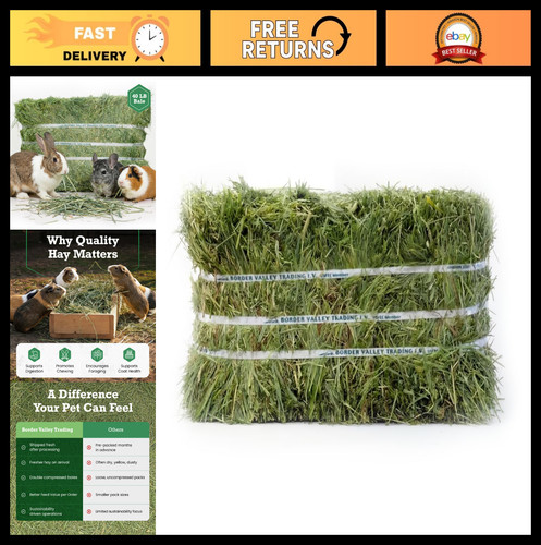 Timothy hay for rabbits - hay,
