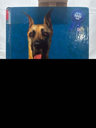 Great danes are - are, best!