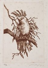 Paul Margocsy - Signed Original Etching: Sulphur Crested Cockatoo 41/90 Limited