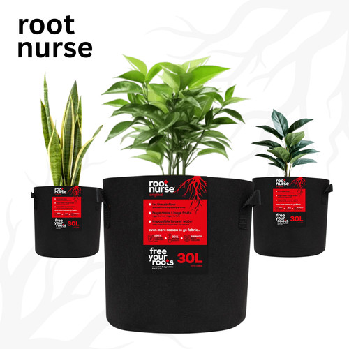 Root nurse fabric - root,