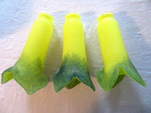 Tulip glass shades - glass, shades-collection