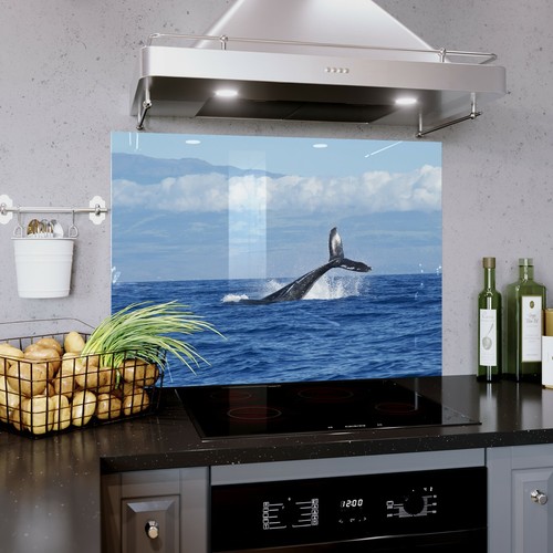 Glass splashback kitchen tile - splashback,