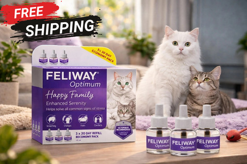 Feliway optimum day refill - 30,