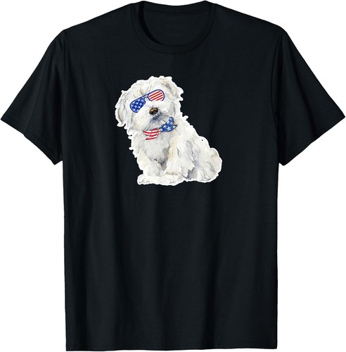 Bichon frise maltese - frise,