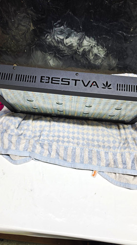 Bestva 3000w led grow light - 3000w,