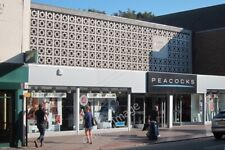 Photo 6x4 Peacocks, Tonbridge