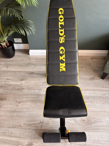 Golds gym bench immaculate - in,