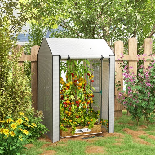 Mini greenhouse with wire - 4,