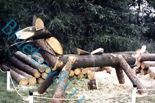 hobby horse  wood Carving at Royal Show 1970's original 35 mm Slide 